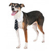 Rubie's Halloween Skull Print Dog Tie