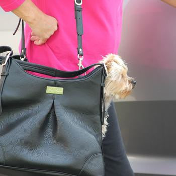 Sadie Mia Michele Black Dog Carry Bag