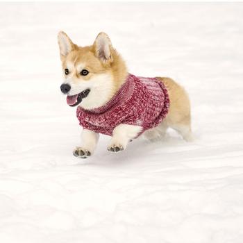 Salen Dog Sweater - Candy Red