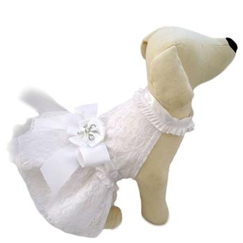 Satin and Lace Dog Dress