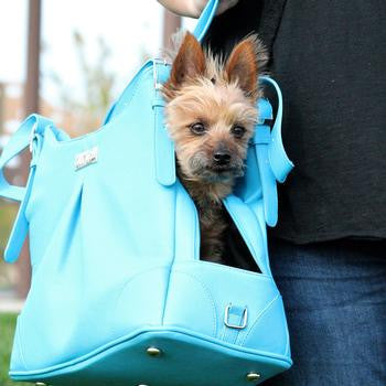 Sea Glass Mia Michele Dog Carry Bag