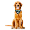 Seattle Seahawks Tie On Dog Bandana