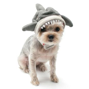 Shark Dog Hat by Dogo