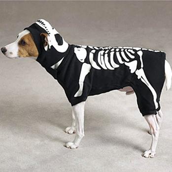 Skeleton Glow Bones Dog Costume by Casual Canine - Black