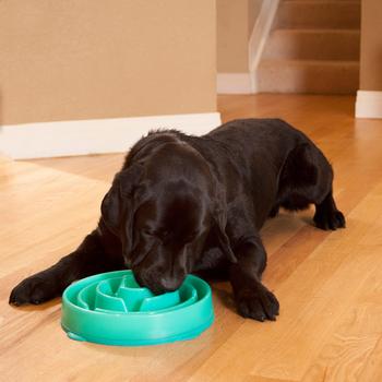 Fun Feeder Slow Feeder Dog Bowl - Drop Caribbean Blue