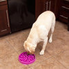 Fun Feeder Slow Feeder Dog Bowl - Flower Mulberry