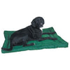 Slumber Pet Water-Resistant Dog Bed - Green