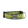 Sly Fox Adjustable Clip Dog Collar By RC Pet