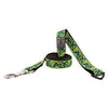 Sorbet Smoke Dog Leash by RC Pet - Green