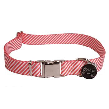 Southern Dawg Seersucker Dog Collar by Yellow Dog - Red