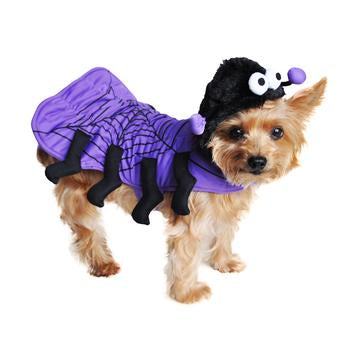 Spider Dog Costume by Doggie Design