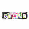 Splatter Paint Dog Collar