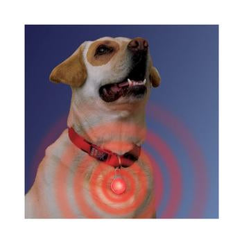 SPOTLit LED Collar Light and Safety Flasher