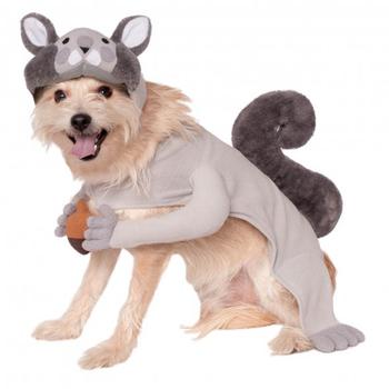 Squirrel Dog Costume