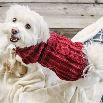 St. Moritz Dog Sweater - Red Wine