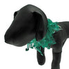 St. Patrick's Day Clover Dog Neck Scrunchy