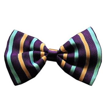 Striped Dog Bow Tie - Purple and Aqua