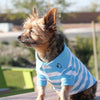 Striped Dog Polo by Doggie Design - Blue Niagara and White