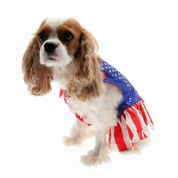 Superhero Dog Costume - Wonder Dog Dress