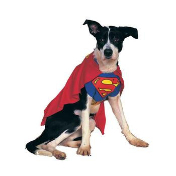 Superman Dog Halloween Costume