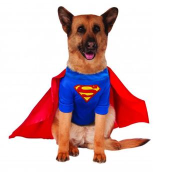 Superman Dog Halloween Costume - Big Dog Edition