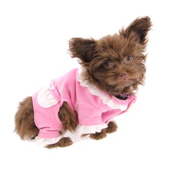 Sweety Dog Jumper Pajamas by Hip Doggie