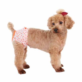 Taffy Dog Sanitary Panty by Puppia - Orange