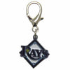 Tampa Bay Rays Logo Dog Collar Charm