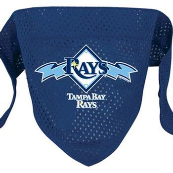 Tampa Bay Rays Mesh Dog Bandana