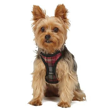 Tartan Dog Harness