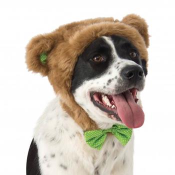 Teddy Bear Hat Dog Costume