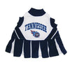 Tennessee Titans Cheerleader Dog Dress