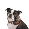 Tessell Neckguard Dog Collar by Puppia - Brown