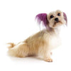 Top Performance Dog Hair Dye Gels