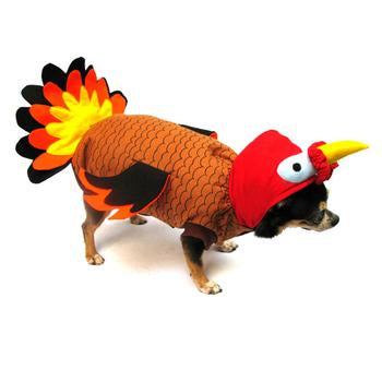 Turkey Dog Costume