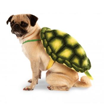 Turtle Shell Backpack Dog Costume