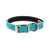 Tuscan Leather Dog Collar by Auburn Leather - Turquoise