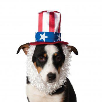 Uncle Sam Hat and Beard Dog Costume