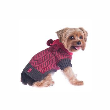 Varsity Girl Dog Sweater with Scarf