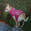 Venture Outerwear Dog Coat - Boysenberry