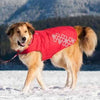 Venture Outerwear Dog Coat - Crimson