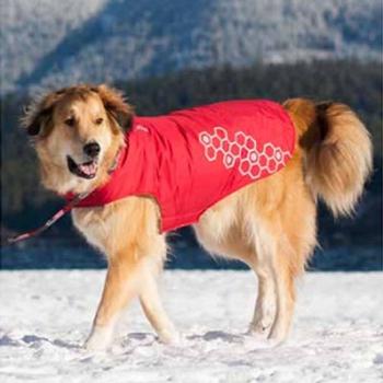 Venture Outerwear Dog Coat - Crimson