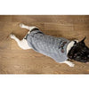 Verbier Cable Dog Sweater - Gray