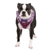 Vivien Dog Harness by Puppia - Purple