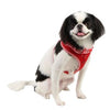 Vivien Dog Harness by Puppia - Red