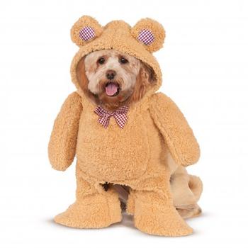 Walking Teddy Bear Dog Costume