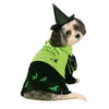 Wicked Witch of the West Dog Costume