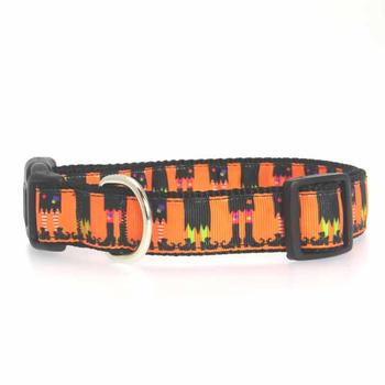 Witches Brew Dog Collar