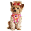 Wrap and Snap Choke Free Dog Harness - Aruba Raspberry