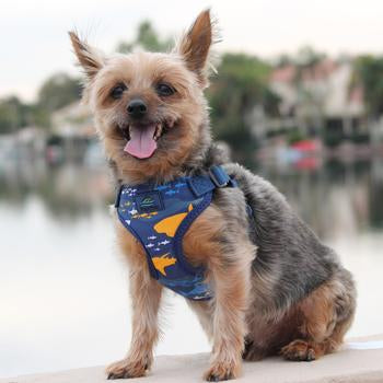 Wrap and Snap Choke Free Dog Harness by Doggie Design - Island Sharks